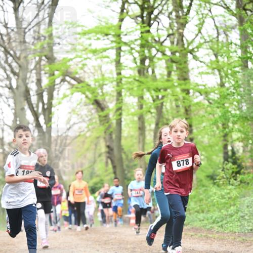 13.04.2025 - Hammer Lauf Dr. Thomas Lammeyer http://msf.ph/oto/7631243 13.04.2025 09:24:39 Laufen 15, 19, 241, 15, 878 meine-sportfotos.de