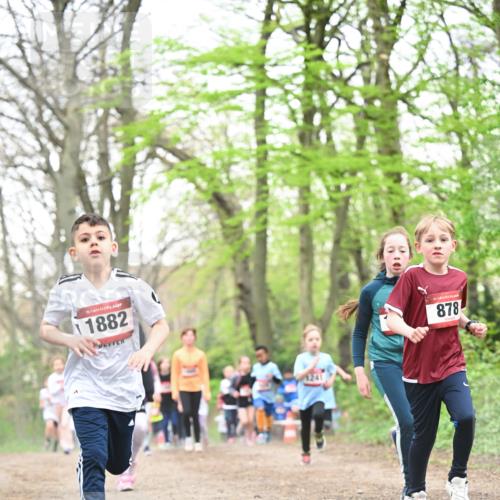 13.04.2025 - Hammer Lauf Dr. Thomas Lammeyer http://msf.ph/oto/7631248 13.04.2025 09:24:39 Laufen 15, 1882, 101, 1241, 15, 878 meine-sportfotos.de