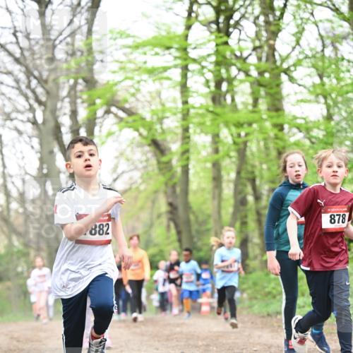 13.04.2025 - Hammer Lauf Dr. Thomas Lammeyer http://msf.ph/oto/7631253 13.04.2025 09:24:39 Laufen 882, 15, 878 meine-sportfotos.de