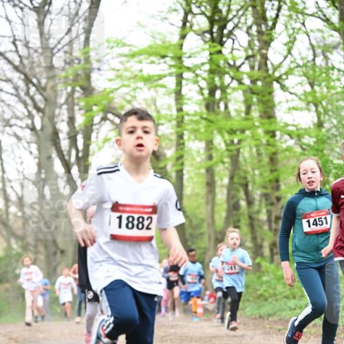 13.04.2025 - Hammer Lauf Dr. Thomas Lammeyer http://msf.ph/oto/7631264 13.04.2025 09:24:39 Laufen 1882, 15, 1451 meine-sportfotos.de