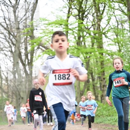 13.04.2025 - Hammer Lauf Dr. Thomas Lammeyer http://msf.ph/oto/7631268 13.04.2025 09:24:40 Laufen 1882, 1518, 1241, 145 meine-sportfotos.de