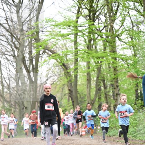 13.04.2025 - Hammer Lauf Dr. Thomas Lammeyer http://msf.ph/oto/7631281 13.04.2025 09:24:40 Laufen 1518, 1624, 162, 124 meine-sportfotos.de