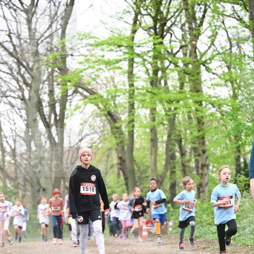 13.04.2025 - Hammer Lauf Dr. Thomas Lammeyer http://msf.ph/oto/7631287 13.04.2025 09:24:40 Laufen 1518, 1626 meine-sportfotos.de