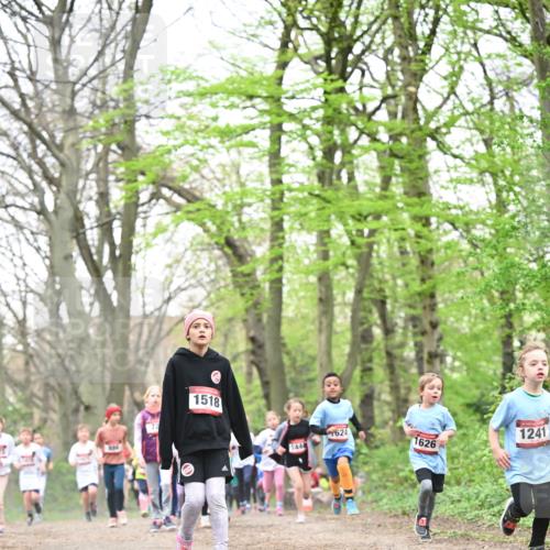 13.04.2025 - Hammer Lauf Dr. Thomas Lammeyer http://msf.ph/oto/7631298 13.04.2025 09:24:41 Laufen 1518, 1444, 624, 1626, 1241 meine-sportfotos.de