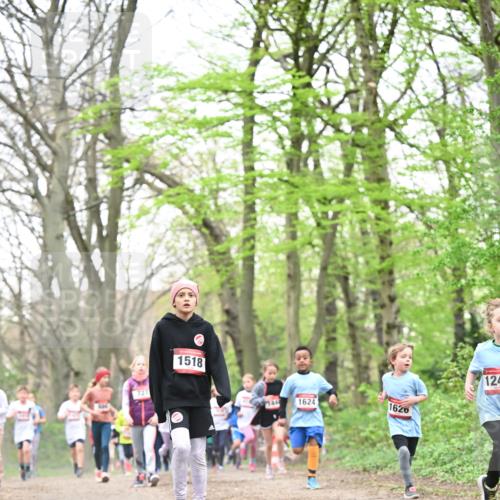 13.04.2025 - Hammer Lauf Dr. Thomas Lammeyer http://msf.ph/oto/7631305 13.04.2025 09:24:41 Laufen 727, 1518, 144, 1624, 1626, 124 meine-sportfotos.de