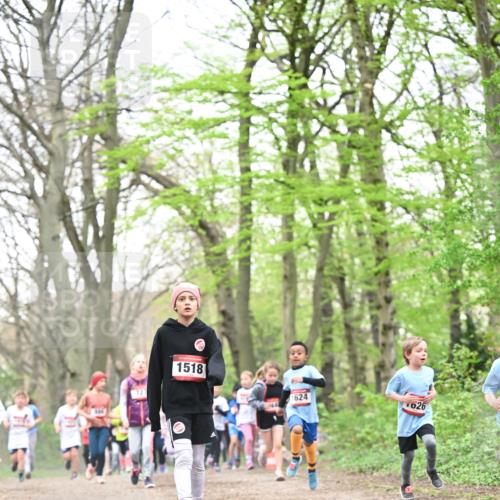 13.04.2025 - Hammer Lauf Dr. Thomas Lammeyer http://msf.ph/oto/7631309 13.04.2025 09:24:41 Laufen 721, 1518, 1624, 626 meine-sportfotos.de
