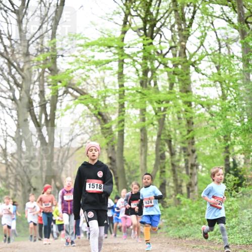 13.04.2025 - Hammer Lauf Dr. Thomas Lammeyer http://msf.ph/oto/7631313 13.04.2025 09:24:41 Laufen 127, 1518, 1624, 26 meine-sportfotos.de