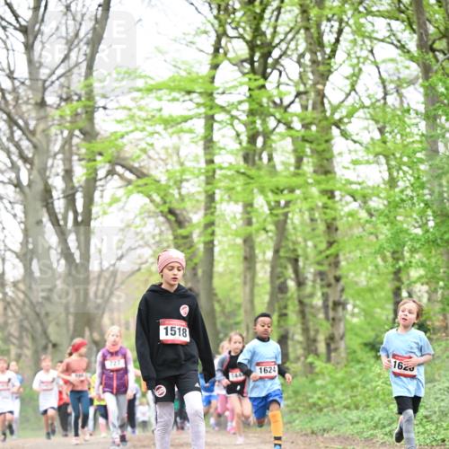 13.04.2025 - Hammer Lauf Dr. Thomas Lammeyer http://msf.ph/oto/7631322 13.04.2025 09:24:41 Laufen 727, 1518, 144, 1624, 162 meine-sportfotos.de