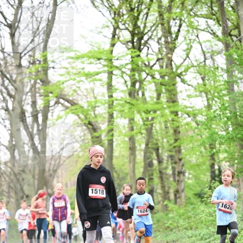 13.04.2025 - Hammer Lauf Dr. Thomas Lammeyer http://msf.ph/oto/7631327 13.04.2025 09:24:41 Laufen 727, 1518, 1624, 162 meine-sportfotos.de