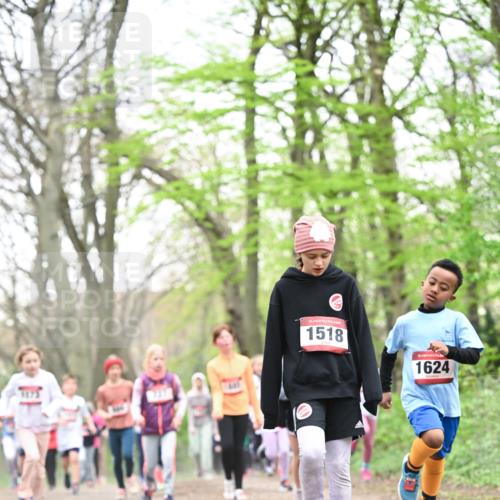 13.04.2025 - Hammer Lauf Dr. Thomas Lammeyer http://msf.ph/oto/7631343 13.04.2025 09:24:43 Laufen 15, 1518, 1624 meine-sportfotos.de