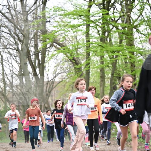 13.04.2025 - Hammer Lauf Dr. Thomas Lammeyer http://msf.ph/oto/7631365 13.04.2025 09:24:44 Laufen 1419, 1350, 886, 1873, 085, 144, 930 meine-sportfotos.de