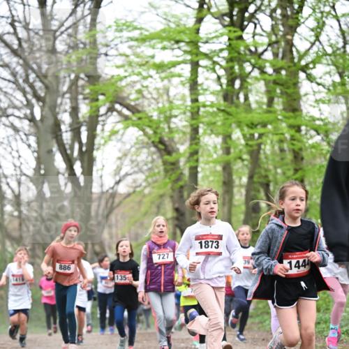 13.04.2025 - Hammer Lauf Dr. Thomas Lammeyer http://msf.ph/oto/7631369 13.04.2025 09:24:44 Laufen 886, 135, 727, 15, 1873, 39, 144 meine-sportfotos.de