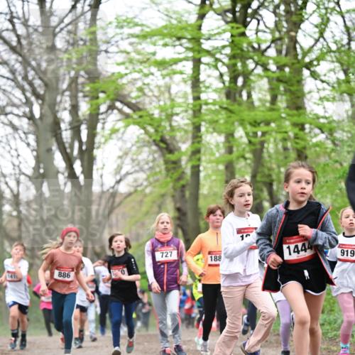 13.04.2025 - Hammer Lauf Dr. Thomas Lammeyer http://msf.ph/oto/7631373 13.04.2025 09:24:44 Laufen 886, 1411, 727, 188, 10, 1444, 919 meine-sportfotos.de