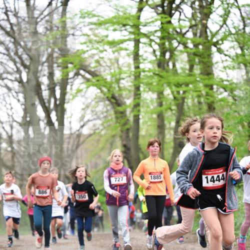 13.04.2025 - Hammer Lauf Dr. Thomas Lammeyer http://msf.ph/oto/7631380 13.04.2025 09:24:44 Laufen 886, 1350, 727, 1885, 1444 meine-sportfotos.de