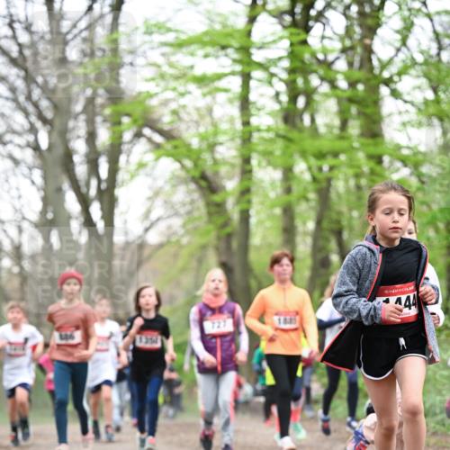 13.04.2025 - Hammer Lauf Dr. Thomas Lammeyer http://msf.ph/oto/7631386 13.04.2025 09:24:45 Laufen 727, 15, 444 meine-sportfotos.de