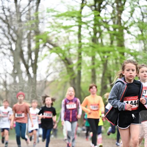 13.04.2025 - Hammer Lauf Dr. Thomas Lammeyer http://msf.ph/oto/7631391 13.04.2025 09:24:45 Laufen 15, 444, 73 meine-sportfotos.de