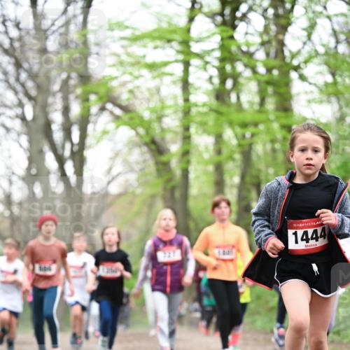 13.04.2025 - Hammer Lauf Dr. Thomas Lammeyer http://msf.ph/oto/7631398 13.04.2025 09:24:45 Laufen 15, 1444 meine-sportfotos.de