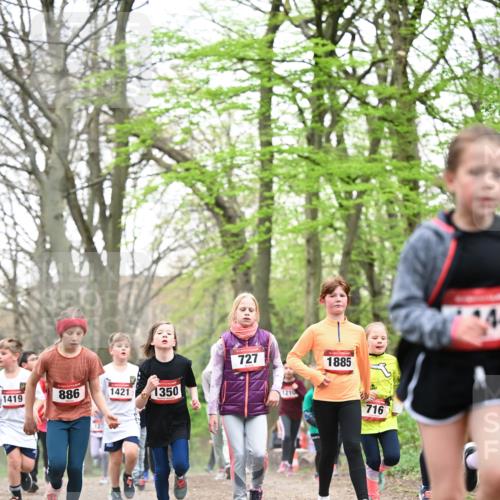 13.04.2025 - Hammer Lauf Dr. Thomas Lammeyer http://msf.ph/oto/7631403 13.04.2025 09:24:45 Laufen 1419, 886, 1421, 1350, 727, 1210, 1885, 716 meine-sportfotos.de