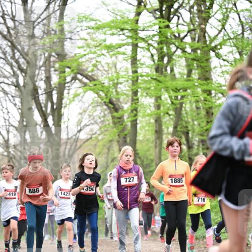 13.04.2025 - Hammer Lauf Dr. Thomas Lammeyer http://msf.ph/oto/7631409 13.04.2025 09:24:45 Laufen 886, 419, 1421, 350, 727, 10, 1885, 716 meine-sportfotos.de