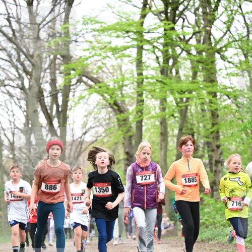13.04.2025 - Hammer Lauf Dr. Thomas Lammeyer http://msf.ph/oto/7631426 13.04.2025 09:24:46 Laufen 14, 886, 1421, 1350, 727, 1885, 716 meine-sportfotos.de