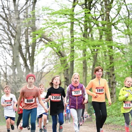 13.04.2025 - Hammer Lauf Dr. Thomas Lammeyer http://msf.ph/oto/7631431 13.04.2025 09:24:46 Laufen 1419, 886, 21, 15, 1350, 727, 1885, 716 meine-sportfotos.de