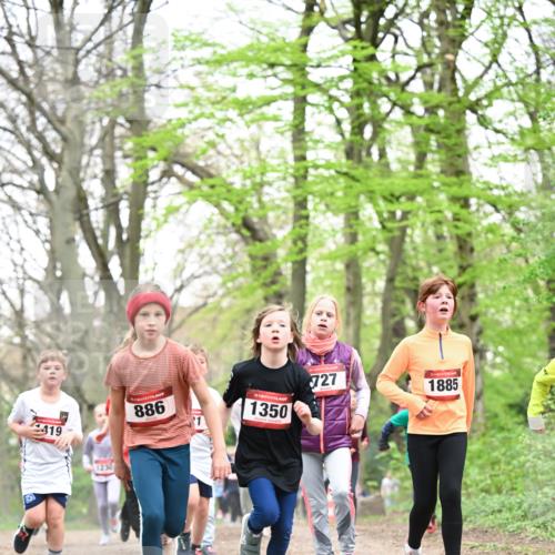 13.04.2025 - Hammer Lauf Dr. Thomas Lammeyer http://msf.ph/oto/7631436 13.04.2025 09:24:46 Laufen 419, 1230, 886, 15, 1350, 727, 1885 meine-sportfotos.de