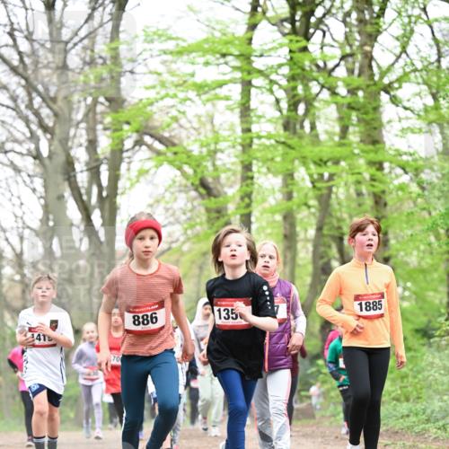 13.04.2025 - Hammer Lauf Dr. Thomas Lammeyer http://msf.ph/oto/7631440 13.04.2025 09:24:46 Laufen 141, 70, 886, 135, 1885 meine-sportfotos.de