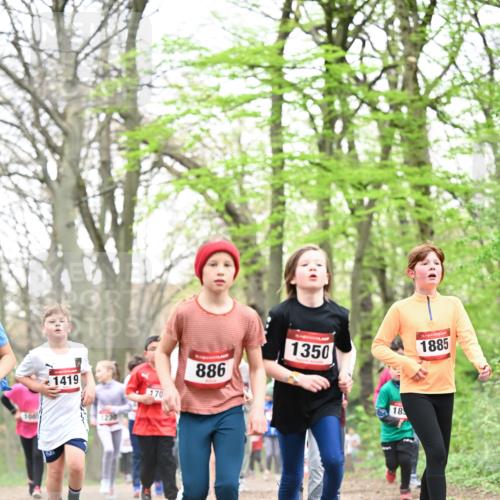 13.04.2025 - Hammer Lauf Dr. Thomas Lammeyer http://msf.ph/oto/7631451 13.04.2025 09:24:46 Laufen 1419, 170, 886, 1350, 1885, 18 meine-sportfotos.de