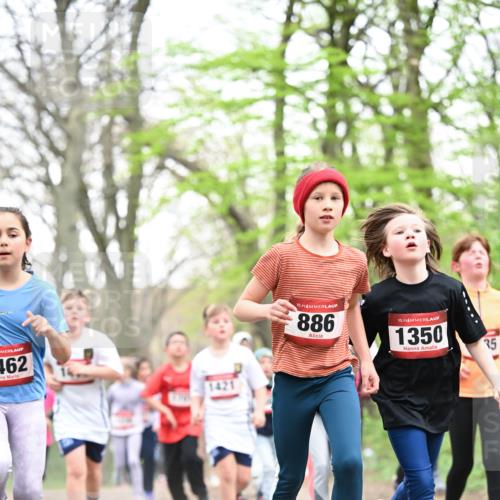 13.04.2025 - Hammer Lauf Dr. Thomas Lammeyer http://msf.ph/oto/7631462 13.04.2025 09:24:47 Laufen 462, 15, 886, 15, 1350, 35 meine-sportfotos.de