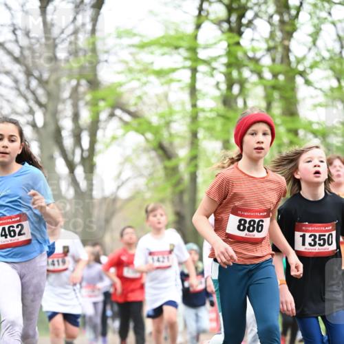 13.04.2025 - Hammer Lauf Dr. Thomas Lammeyer http://msf.ph/oto/7631465 13.04.2025 09:24:47 Laufen 462, 15, 886, 15, 1350 meine-sportfotos.de