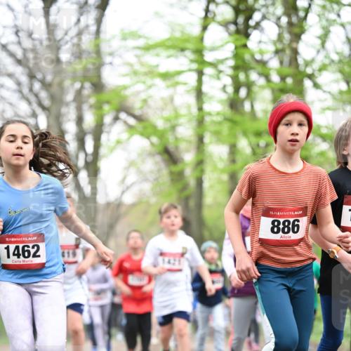 13.04.2025 - Hammer Lauf Dr. Thomas Lammeyer http://msf.ph/oto/7631472 13.04.2025 09:24:47 Laufen 15, 1462, 15, 886 meine-sportfotos.de