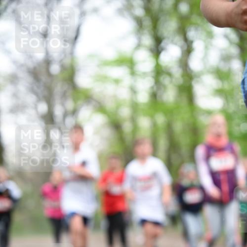 13.04.2025 - Hammer Lauf Dr. Thomas Lammeyer http://msf.ph/oto/7631485 13.04.2025 09:24:48 Laufen  meine-sportfotos.de
