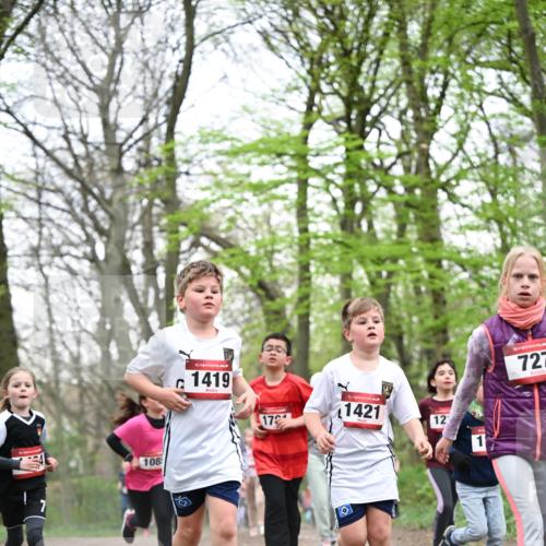 13.04.2025 - Hammer Lauf Dr. Thomas Lammeyer http://msf.ph/oto/7631490 13.04.2025 09:24:49 Laufen 108, 15, 1419, 17, 15, 1421, 12, 1, 15, 727 meine-sportfotos.de