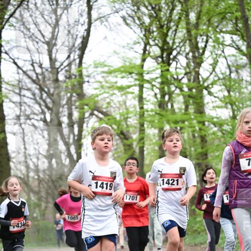 13.04.2025 - Hammer Lauf Dr. Thomas Lammeyer http://msf.ph/oto/7631495 13.04.2025 09:24:49 Laufen 434, 1085, 15, 1419, 1701, 15, 1421, 15, 7 meine-sportfotos.de