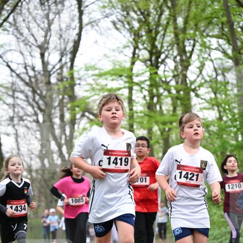 13.04.2025 - Hammer Lauf Dr. Thomas Lammeyer http://msf.ph/oto/7631504 13.04.2025 09:24:49 Laufen 15, 1434, 1085, 15, 1419, 01, 15, 1421, 1210 meine-sportfotos.de