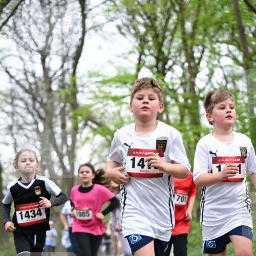 13.04.2025 - Hammer Lauf Dr. Thomas Lammeyer http://msf.ph/oto/7631519 13.04.2025 09:24:50 Laufen 1434, 1085, 15, 14, 701, 15 meine-sportfotos.de