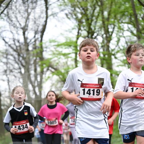 13.04.2025 - Hammer Lauf Dr. Thomas Lammeyer http://msf.ph/oto/7631524 13.04.2025 09:24:50 Laufen 434, 1085, 15, 1419, 15 meine-sportfotos.de