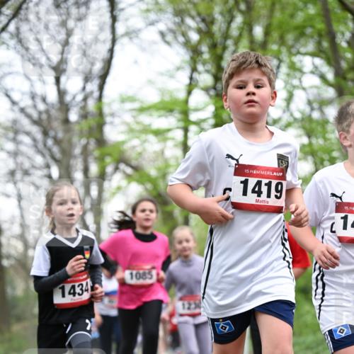 13.04.2025 - Hammer Lauf Dr. Thomas Lammeyer http://msf.ph/oto/7631528 13.04.2025 09:24:50 Laufen 1434, 1085, 1230, 17, 15, 1419, 15, 14 meine-sportfotos.de