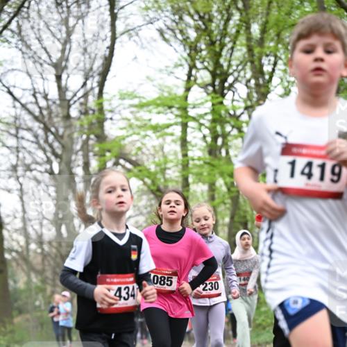 13.04.2025 - Hammer Lauf Dr. Thomas Lammeyer http://msf.ph/oto/7631534 13.04.2025 09:24:50 Laufen 434, 085, 230, 1419 meine-sportfotos.de