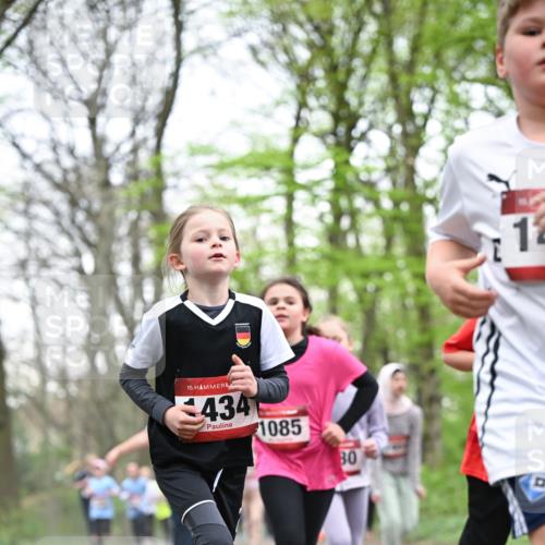 13.04.2025 - Hammer Lauf Dr. Thomas Lammeyer http://msf.ph/oto/7631538 13.04.2025 09:24:50 Laufen 15, 434, 1085, 80, 12 meine-sportfotos.de