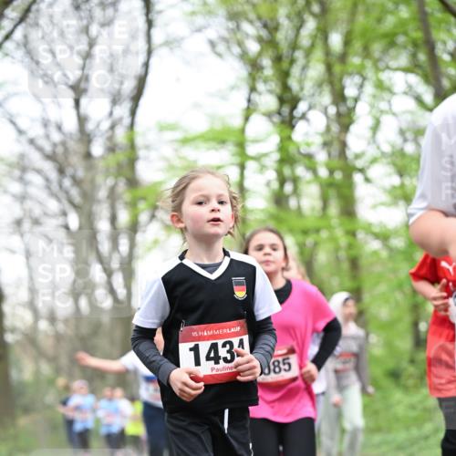 13.04.2025 - Hammer Lauf Dr. Thomas Lammeyer http://msf.ph/oto/7631544 13.04.2025 09:24:50 Laufen 15, 1434, 85 meine-sportfotos.de