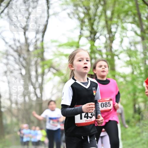 13.04.2025 - Hammer Lauf Dr. Thomas Lammeyer http://msf.ph/oto/7631548 13.04.2025 09:24:51 Laufen 1434, 085 meine-sportfotos.de