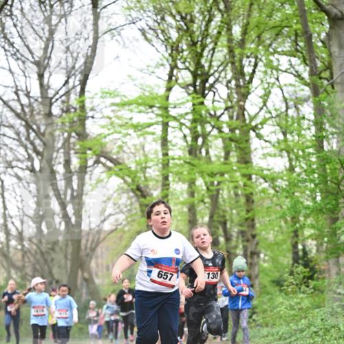 13.04.2025 - Hammer Lauf Dr. Thomas Lammeyer http://msf.ph/oto/7631570 13.04.2025 09:24:52 Laufen 1616, 657, 130 meine-sportfotos.de