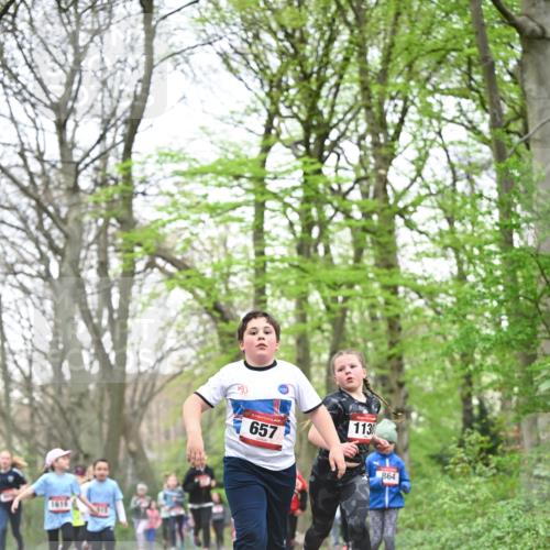 13.04.2025 - Hammer Lauf Dr. Thomas Lammeyer http://msf.ph/oto/7631576 13.04.2025 09:24:52 Laufen 1616, 657, 1130, 864 meine-sportfotos.de