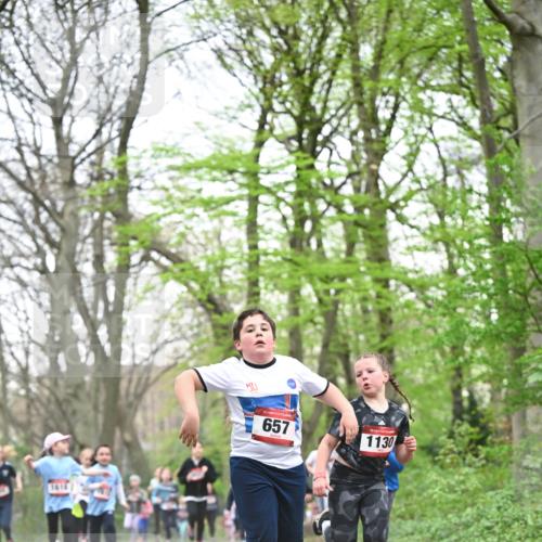 13.04.2025 - Hammer Lauf Dr. Thomas Lammeyer http://msf.ph/oto/7631580 13.04.2025 09:24:52 Laufen 15, 657, 15, 1130, 0 meine-sportfotos.de