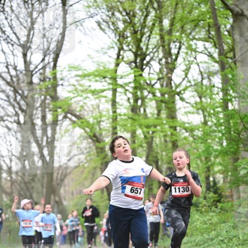 13.04.2025 - Hammer Lauf Dr. Thomas Lammeyer http://msf.ph/oto/7631584 13.04.2025 09:24:52 Laufen 1616, 15, 657, 1130 meine-sportfotos.de