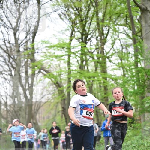 13.04.2025 - Hammer Lauf Dr. Thomas Lammeyer http://msf.ph/oto/7631589 13.04.2025 09:24:53 Laufen 15, 657, 115 meine-sportfotos.de