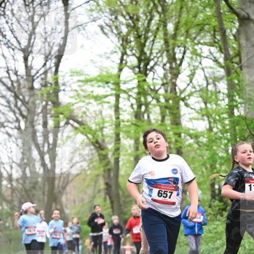 13.04.2025 - Hammer Lauf Dr. Thomas Lammeyer http://msf.ph/oto/7631600 13.04.2025 09:24:53 Laufen 1614, 15, 657, 64, 15, 11 meine-sportfotos.de