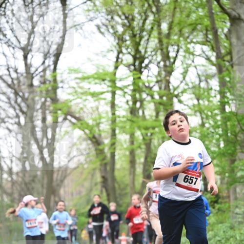 13.04.2025 - Hammer Lauf Dr. Thomas Lammeyer http://msf.ph/oto/7631610 13.04.2025 09:24:53 Laufen 15, 657 meine-sportfotos.de