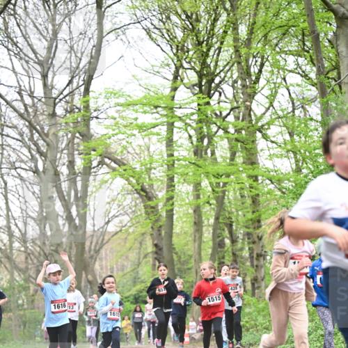 13.04.2025 - Hammer Lauf Dr. Thomas Lammeyer http://msf.ph/oto/7631623 13.04.2025 09:24:54 Laufen 1616, 13, 1872, 1615, 857, 1515, 428 meine-sportfotos.de